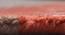Geonna Carpet (Orange, 91 x 152 cm  (36" x 60") Carpet Size) by Urban Ladder - Design 1 Close View - 306622