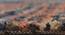 Julio Carpet (Orange, 152 x 213 cm  (60" x 84") Carpet Size) by Urban Ladder - Design 1 Close View - 306820