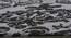 Zafar Carpet (Grey & Black, 183 x 274 cm  (72" x 108") Carpet Size) by Urban Ladder - Design 1 Close View - 306916
