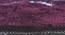 Basilio Carpet (Purple, 56 x 140 cm (22" x 55") Carpet Size) by Urban Ladder - Design 1 Close View - 307193