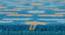 Siena Carpet (Blue, 91 x 152 cm  (36" x 60") Carpet Size) by Urban Ladder - Design 1 Close View - 307229