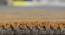 Armond Carpet (Gold, 152 x 244 cm  (60" x 96") Carpet Size) by Urban Ladder - Design 1 Close View - 307349
