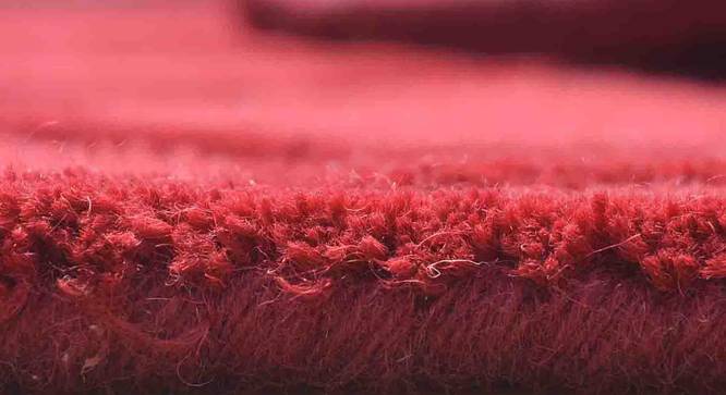 Emeril Carpet (Red, 152 x 244 cm  (60" x 96") Carpet Size) by Urban Ladder - Design 1 Close View - 307379