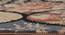 Parmond Carpet (Orange, 152 x 213 cm  (60" x 84") Carpet Size) by Urban Ladder - Design 1 Close View - 307601