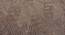 Armano Carpet (Brown, 122 x 183 cm  (48" x 72") Carpet Size) by Urban Ladder - Design 1 Details - 307679