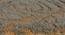Silika Carpet (Gold, 56 x 140 cm (22" x 55") Carpet Size) by Urban Ladder - Design 1 Close View - 307776