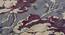 Rosa Carpet (Grey, 183 x 274 cm  (72" x 108") Carpet Size) by Urban Ladder - Design 1 Details - 308085