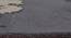 Rosa Carpet (Grey, 183 x 274 cm  (72" x 108") Carpet Size) by Urban Ladder - Design 1 Close View - 308086