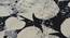 Spades Carpet (Black, 56 x 140 cm (22" x 55") Carpet Size) by Urban Ladder - Design 1 Details - 308278