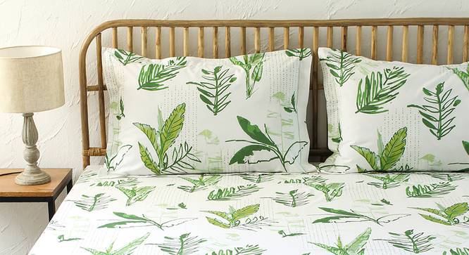 Cotton Size Bedsheet with Pillow Covers 