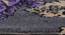 Rosa Table Runner (Purple, 56 x 140 cm (22" x 55") Table Linen Size) by Urban Ladder - Design 1 Close View - 309370