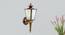 Aine Wall Light (Antique Brass) by Urban Ladder - Design 1 Semi Side View - 