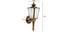 Aine Wall Light (Antique Brass) by Urban Ladder - Dimension Design 1 - 