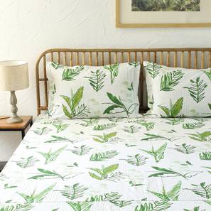 Bedsheets Design Green TC Cotton Size Bedsheet with Pillow Covers