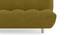 Palermo Sofa Cum Bed (Olive Green) by Urban Ladder - Ground View Design 1 - 312737