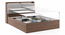 Tyra Storage Bed (Queen Bed Size, Box Storage Type, Classic Walnut Finish) by Urban Ladder - Ground View Design 1 - 313333