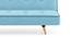 Zehnloch Sofa Cum Bed (Glacier Blue) by Urban Ladder - Ground View Design 1 - 313343