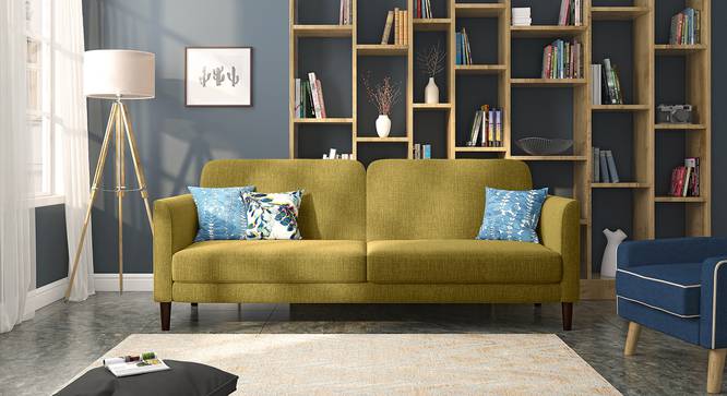 Felicity Sofa Cum Bed (Olive Green) by Urban Ladder - Design 1 Full View - 313965