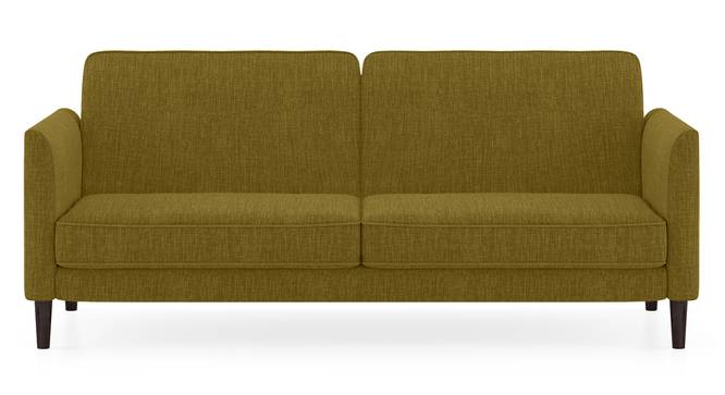 Felicity Sofa Cum Bed (Olive Green) by Urban Ladder - Front View Design 1 - 313966