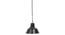 Vera Pendant Lamp (Black) by Urban Ladder - Front View Design 1 - 314221
