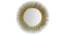 Gabe Wall Mirror (Gold) by Urban Ladder - Front View Design 1 - 314818