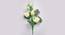 Lotus Artificial Flower (White) by Urban Ladder - Front View Design 1 - 314882