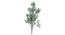 Silk King Artificial Plant (White) by Urban Ladder - Front View Design 1 - 314899