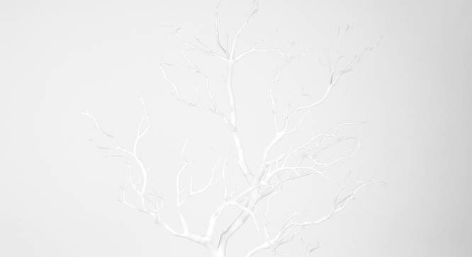 Arbre Artificial Plant (White) by Urban Ladder - Front View Design 1 - 314910