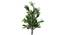 Christ Artificial Plant (Green) by Urban Ladder - Front View Design 1 - 314919