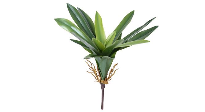 Spider Lily Artificial Plant (Green) by Urban Ladder - Front View Design 1 - 314922