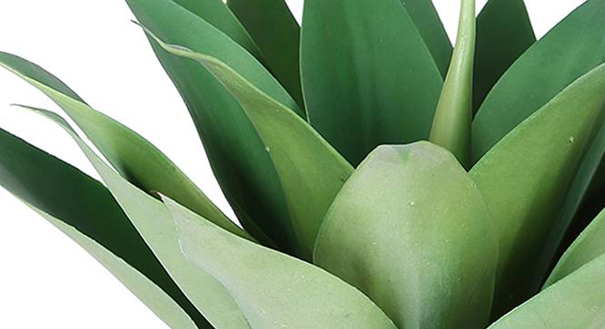Foxtail Agave Artificial Plant (Green, Medium Size) by Urban Ladder - Design 1 Side View - 314929