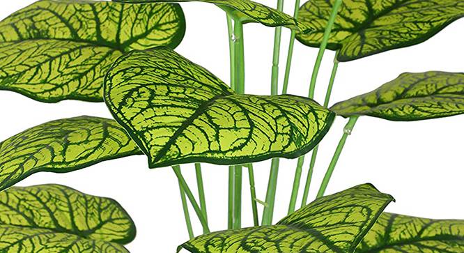 Caladium Artificial Plant (Green) by Urban Ladder - Design 1 Side View - 314953
