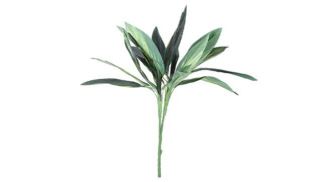 Dracaena Artificial Plant (Green) by Urban Ladder - Front View Design 1 - 314976