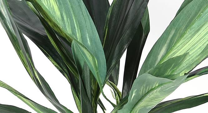 Dracaena Artificial Plant (Green) by Urban Ladder - Design 1 Side View - 314977