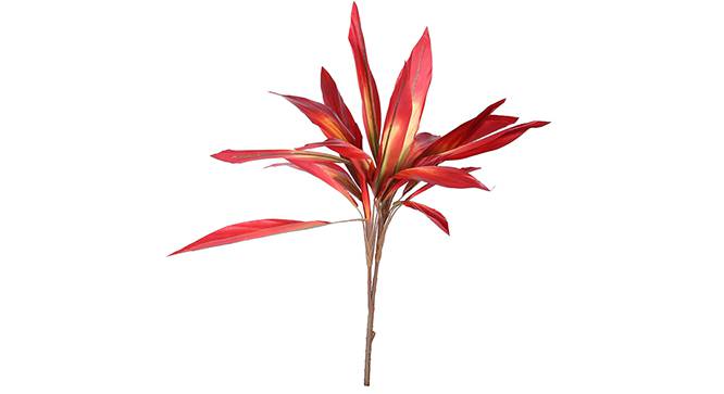 Dracaena Artificial Plant (Red) by Urban Ladder - Front View Design 1 - 314985