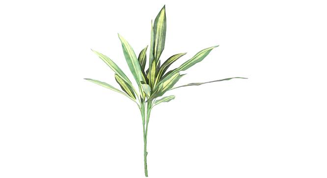 Dracaena Artificial Plant (Yellow) by Urban Ladder - Front View Design 1 - 314988