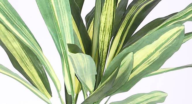Dracaena Artificial Plant (Yellow) by Urban Ladder - Design 1 Side View - 314989