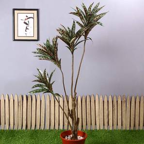 Dracaena brown artificial plant lp