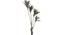 Dracaena Artificial Plant (Brown) by Urban Ladder - Front View Design 1 - 314991