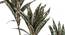 Dracaena Artificial Plant (Brown) by Urban Ladder - Design 1 Side View - 314992