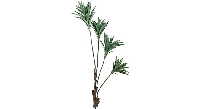 Dracaena Tall Artificial Plant (Green) by Urban Ladder - Front View Design 1 - 314994