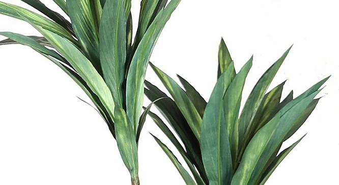 Dracaena Tall Artificial Plant (Green) by Urban Ladder - Design 1 Side View - 314995