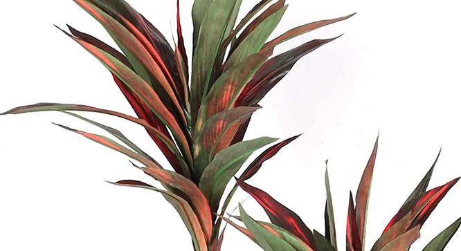 Dracaena Tall Artificial Plant (Red and Green) by Urban Ladder - Design 1 Side View - 314998