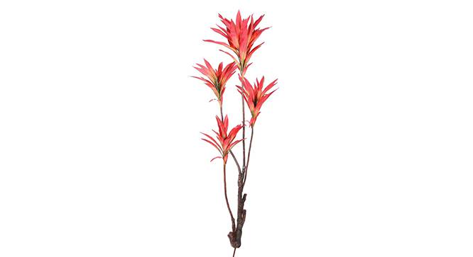 Dracaena Tall Artificial Plant (Red) by Urban Ladder - Front View Design 1 - 315003