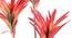 Dracaena Tall Artificial Plant (Red) by Urban Ladder - Design 1 Side View - 315004