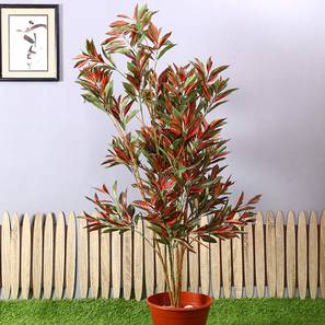 Fragrans green and red artificial plant lp