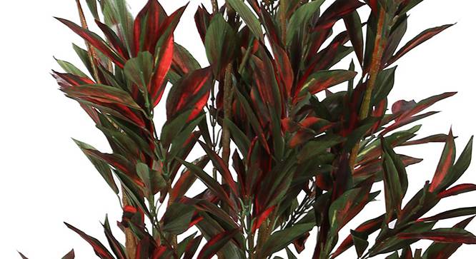 Fragrans Artificial Plant (Red and Green) by Urban Ladder - Design 1 Side View - 315013