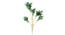 Agavecae Artificial Plant (Green) by Urban Ladder - Front View Design 1 - 315015