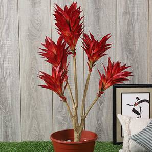 Artificial Plants Design Rubi Artificial Plant (Red)