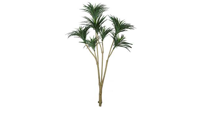 Angust Artificial Plant (Green) by Urban Ladder - Front View Design 1 - 315066